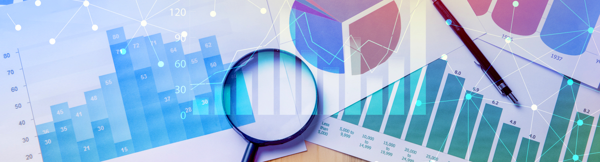 2017 Shopper Marketing Optimization Report